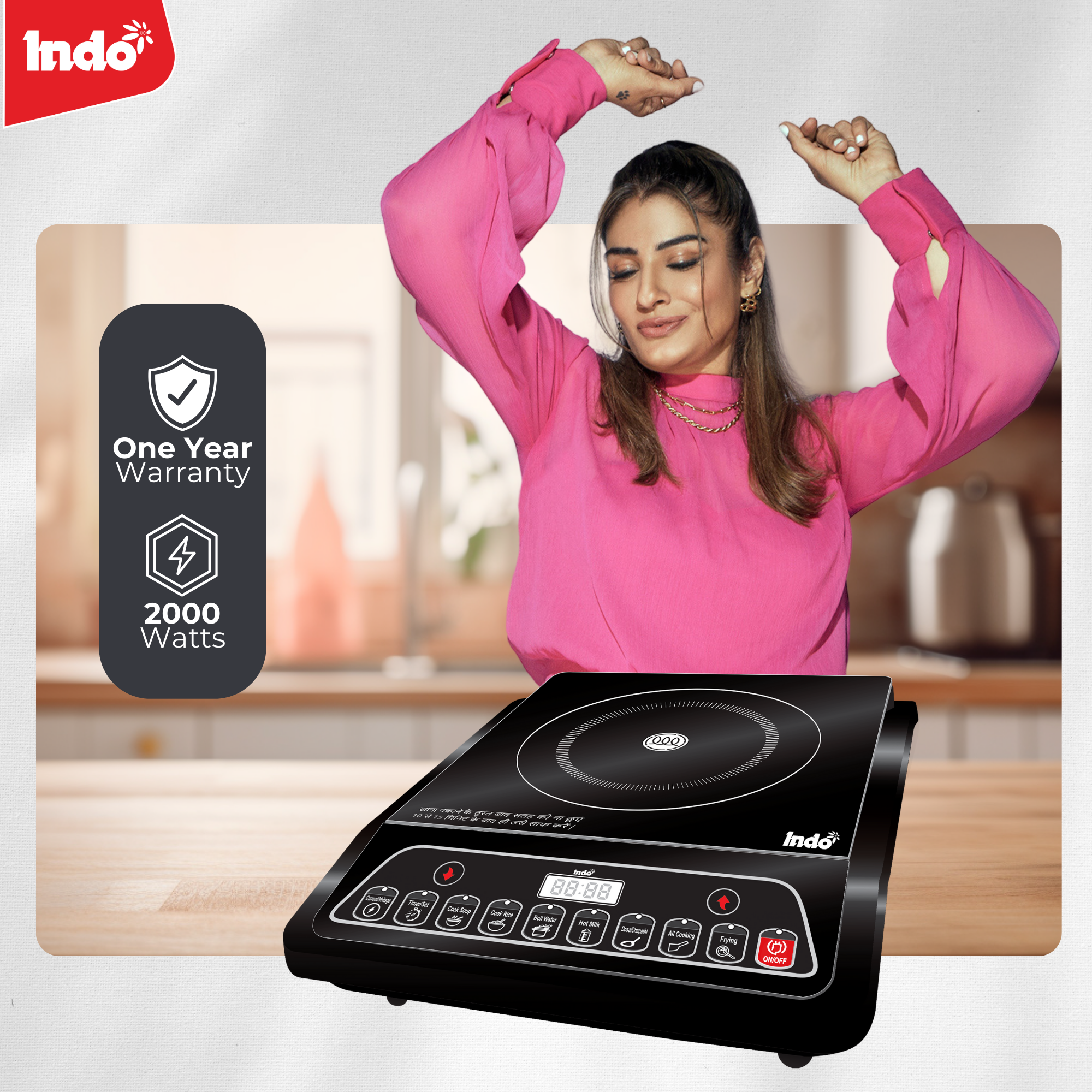 Indo 2205 Portable Induction Cooktop No Radiation Electric Gas Chulha