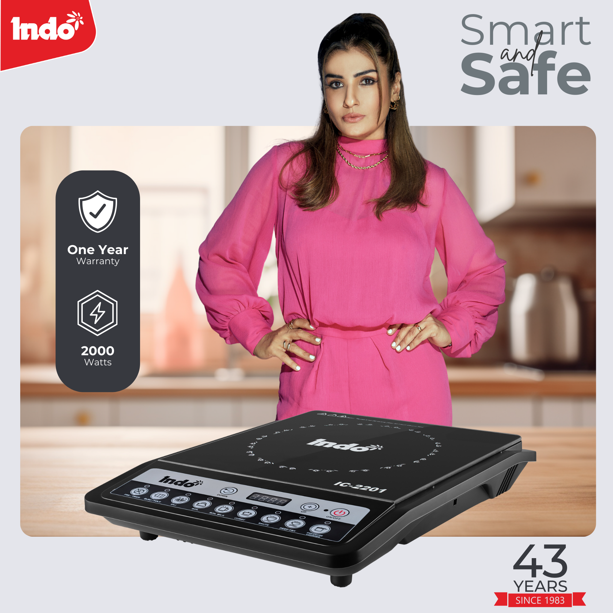 Indo 2201 Portable Induction Cooktop (Electric Gas Chulha)