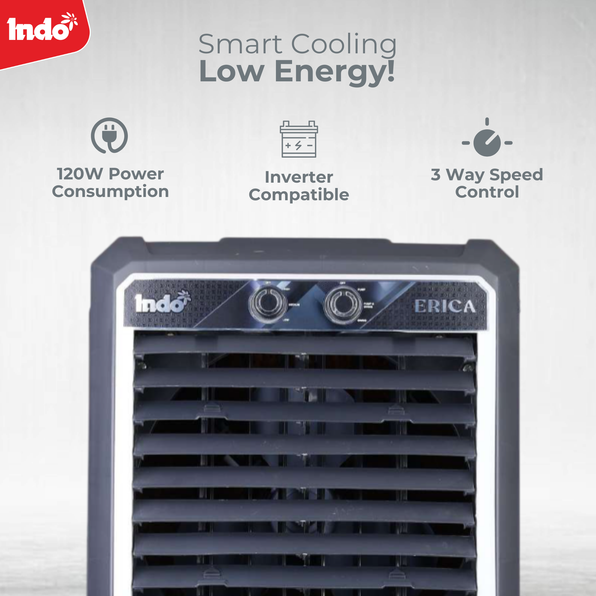 Indo 48 Litres Cooler ERICA 12 Inches Air Cooler For Home