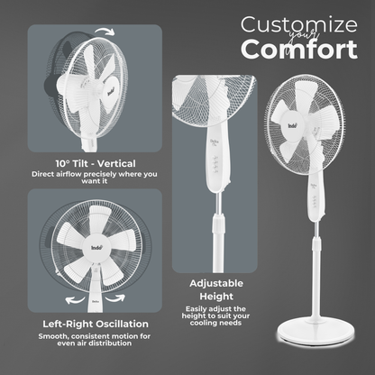 Indo Delta Pedestal Fan